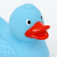 Bild von TUI Badeente