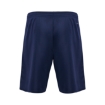 Bild von TUI x hummel Shorts Man Essential