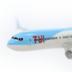 Bild von TUI Modell 737