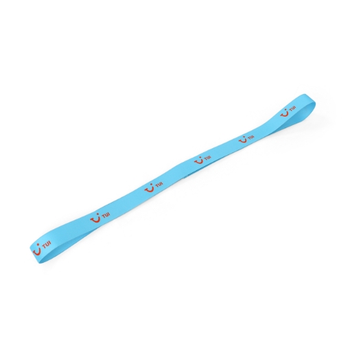 Bild von TUI Handtuchhalter Band